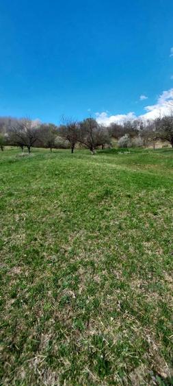 Campulung Grui, Flamanda, Valea Romanestilor si Schitu Golesti - 1