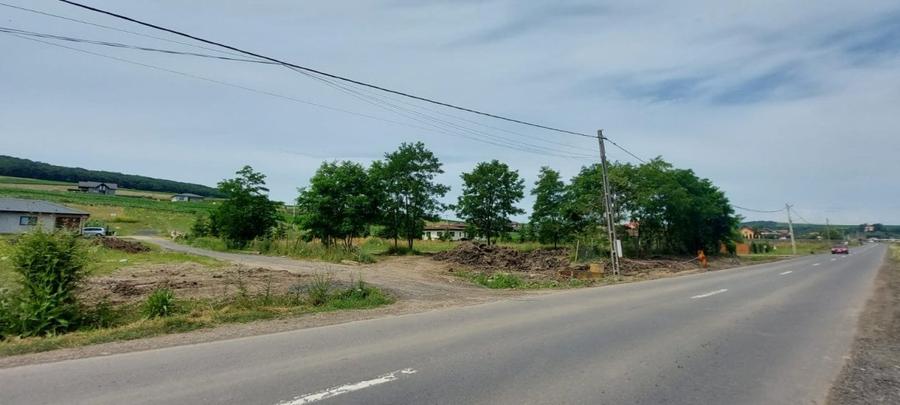 De vanzare teren pretabil ptr constructie pensiune - 3