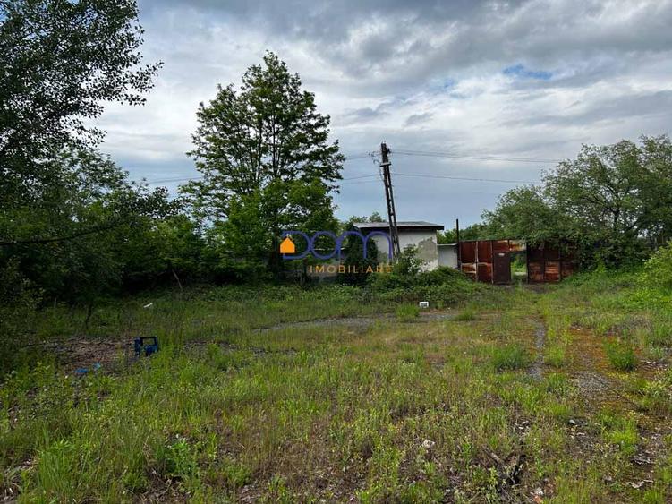 Teren industrial sau comercial 3000 mp Zagujeni - 8