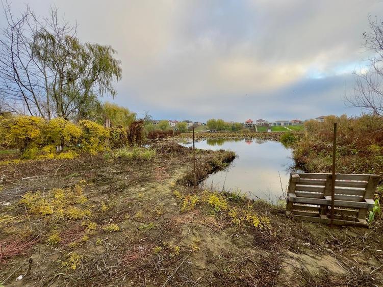 Teren Intravilan | Deschidere Lac Snagov | Ponton | Curatat | Toate utilitatile - 5