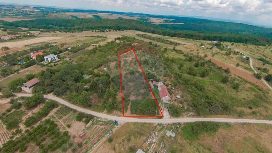 De vânzare Teren 3995mp intravilan Săldabagiu de Munte - 1