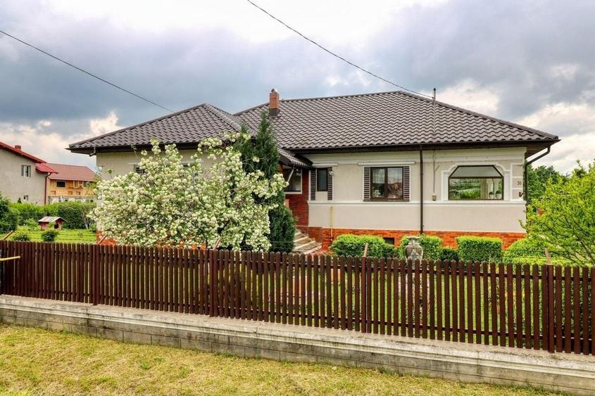 Investitie -Oportunitate - Casă boierească  de poveste- 7000 mp teren, - 5