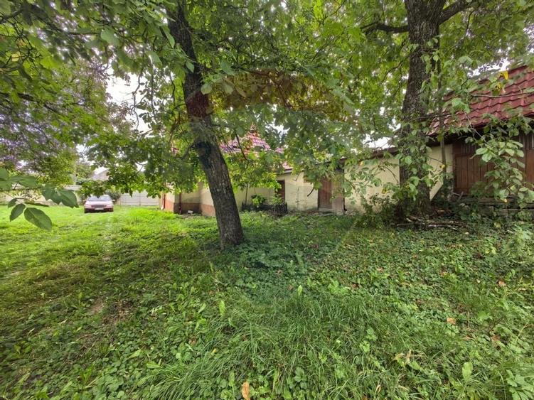 Casa traditionala De Vanzare cu 5 Hectare de teren - 11