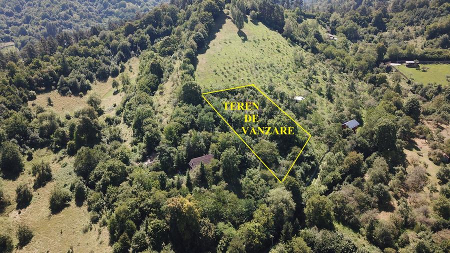 Teren in Scheii Brasovului inconjurat de natura - 6