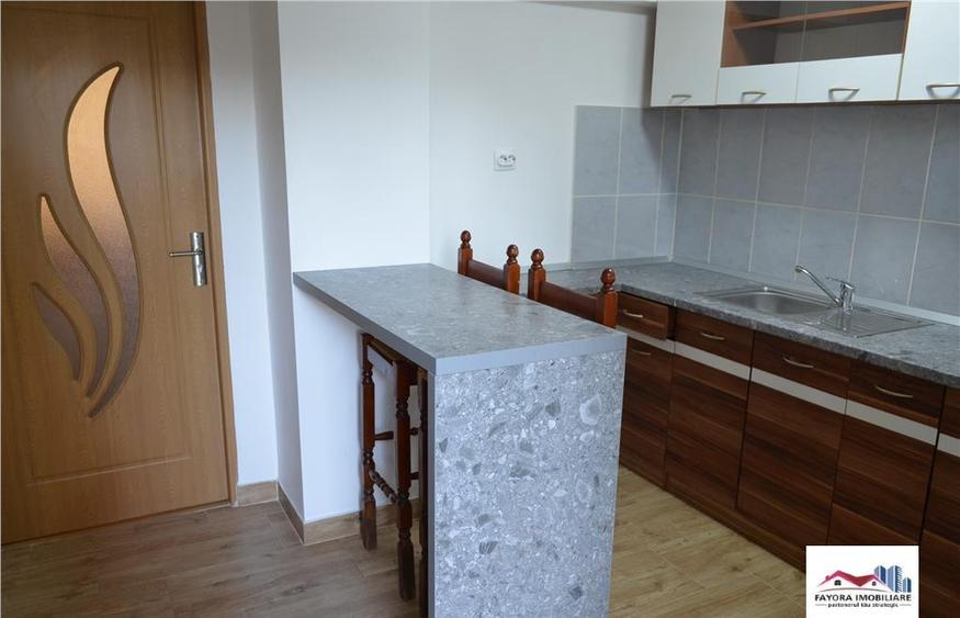 Apartament 1 Camera Mobilat si Utilat de Zona Dambu Pietros - 10