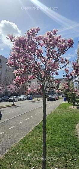 Apartament 3 camere NOU Targoviste   Class Park Residence - 4