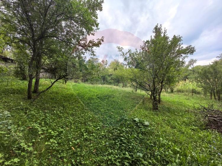 Casa traditionala De Vanzare cu 5 Hectare de teren - 14