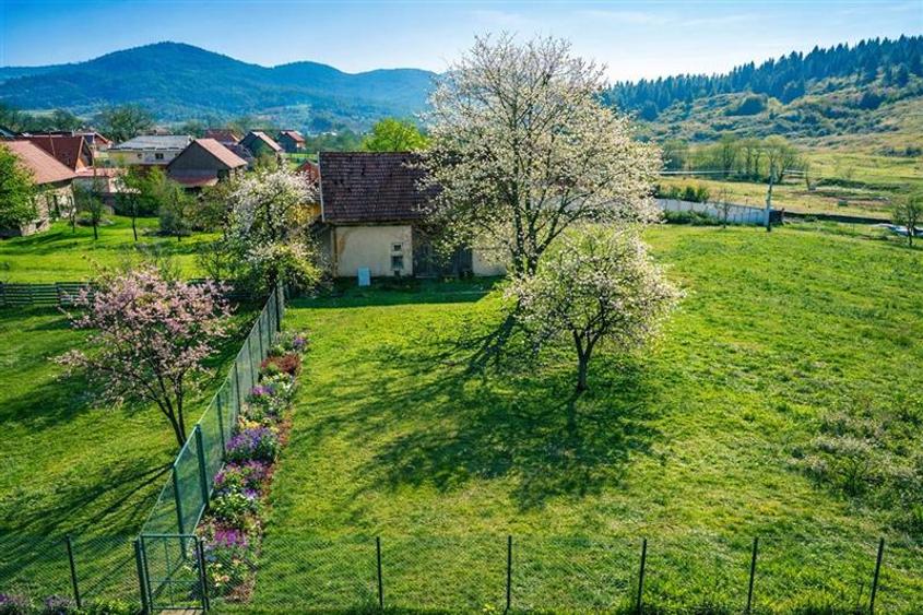 FILM! Casa traditionala, curte, gradina, anexe, extensie teren, Zagon, Covasna - 5