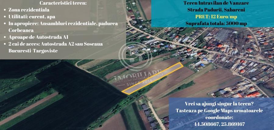 Sabareni in apropierea Padurii Cereanca- Teren de Vanzare - 1