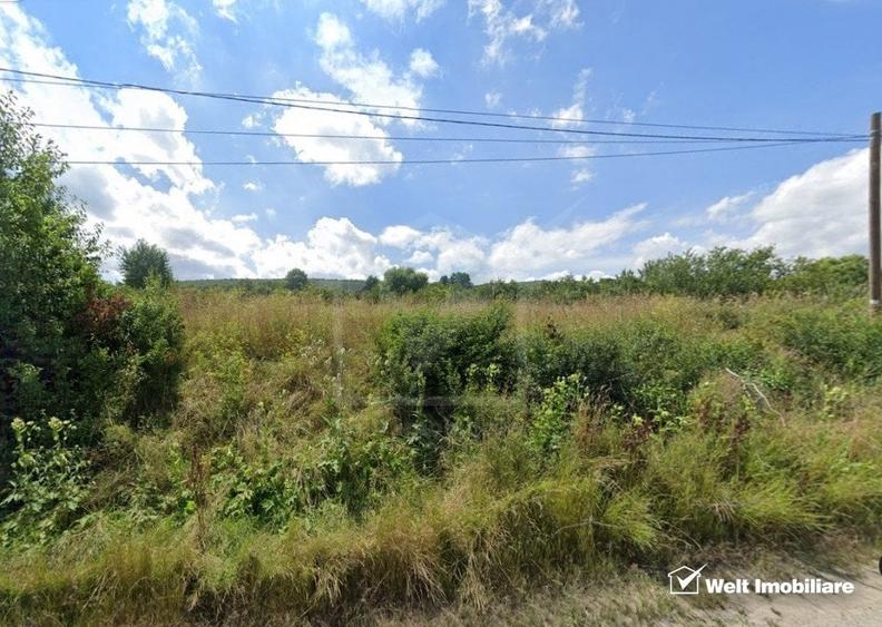 Teren cu front 40 m la strada Valea Chintaului, extravilan - 1