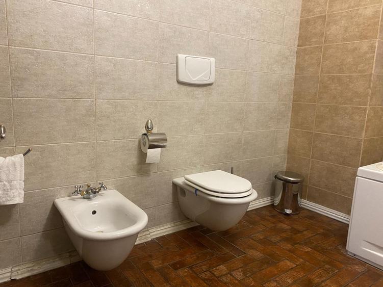 Vila individuala Victoriei pretabil birouri clinica restaurant rezidenta - 18