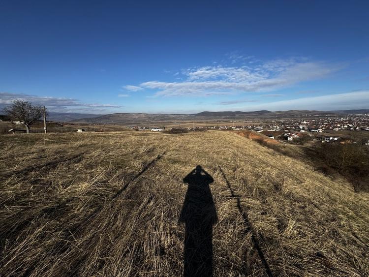 Oportunitate investitie 1153mp Tarnita - Micesti - 4