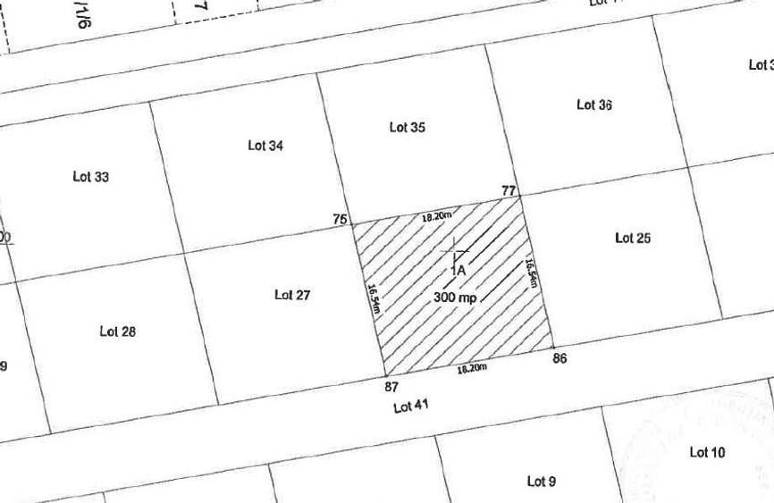 Teren intravilan 300 mp | Berceni Vidra | Lake Garden - 3