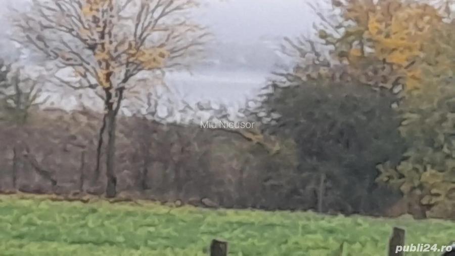 Vand casa aproape de dunare