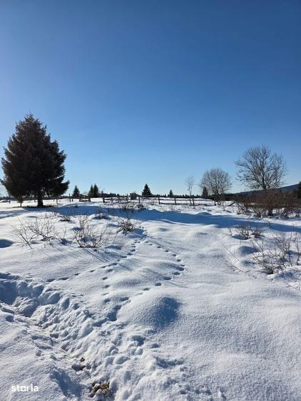 Teren 4000mp, in zona montana, Belis/Cluj - 7