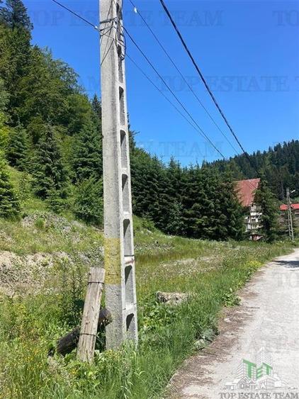 IDEAL INVESTITIE TEREN PREDEAL, 1936 mp intravilan, toate utilitatile, padure - 6