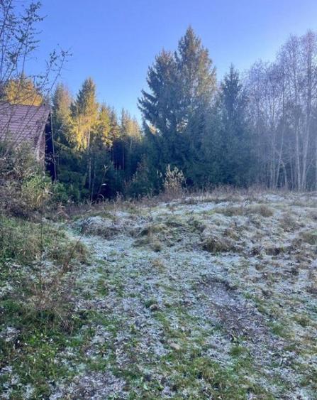 Teren intravilan, 20000 mp, zona Manastirea Humorului - 3