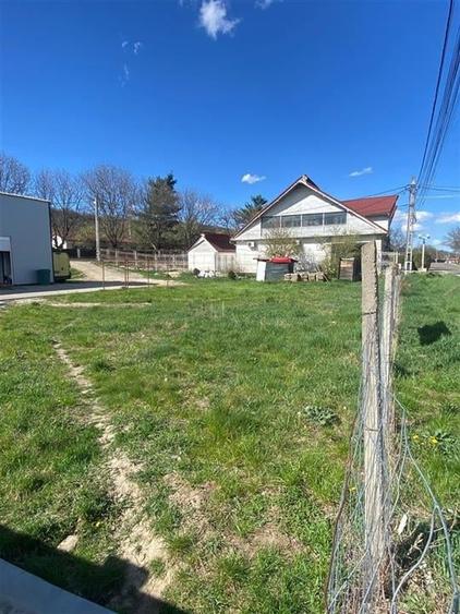 TEREN 1000 MP DE INCHIRIAT LA  STRADA PRINCIPALA IN CASIN - 3