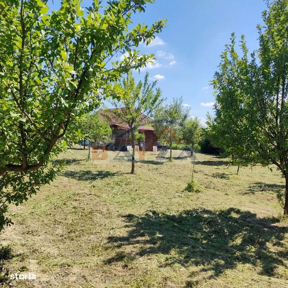 Casuta de vacanta Hideaga | teren 30 ari | liniste | acces facil - 2