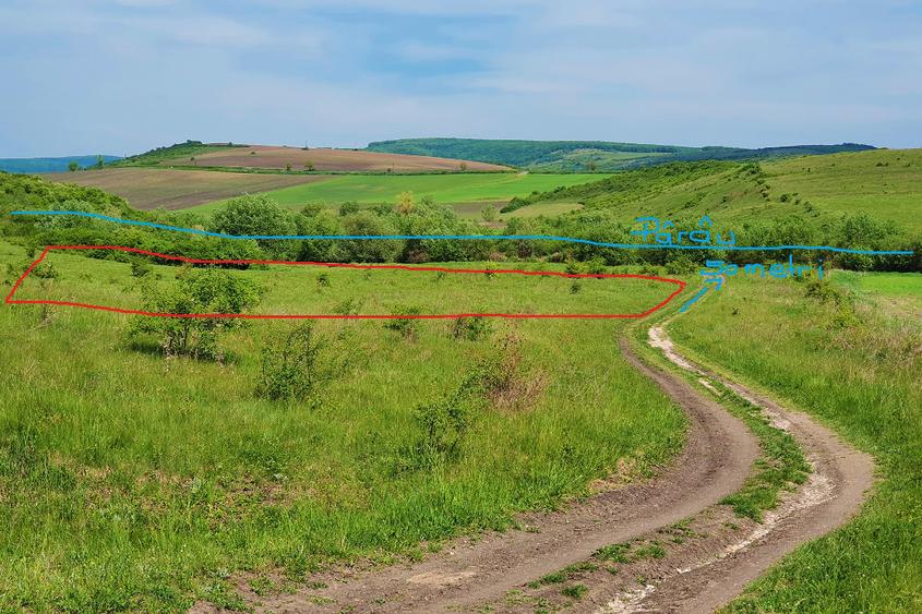 Teren extravilan ideal în satul Ciumăfaia, comuna Borșa, județul Cluj. - 1