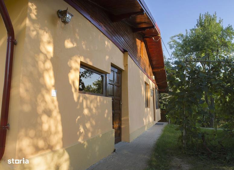 Vila in Tancabesti, Snagov - 9