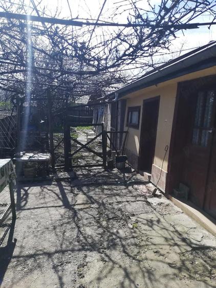 Casa Silistea - 5