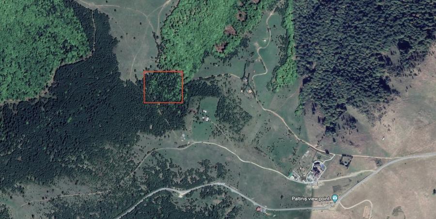 Teren extravilan 11000mp in Paltinis - 1