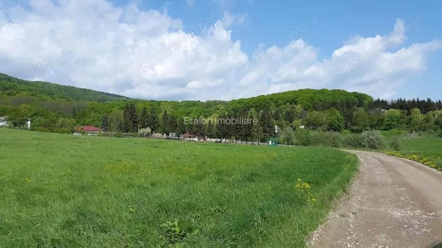 Teren 2300+1600 mp cu deschidere 16 m, Negresti, Jud. Neamt Teren 2300+1600 mp cu deschidere 16 m, Negresti, Jud. Neamt