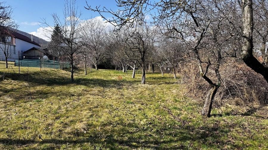 Suprafata generoasa de teren - 8