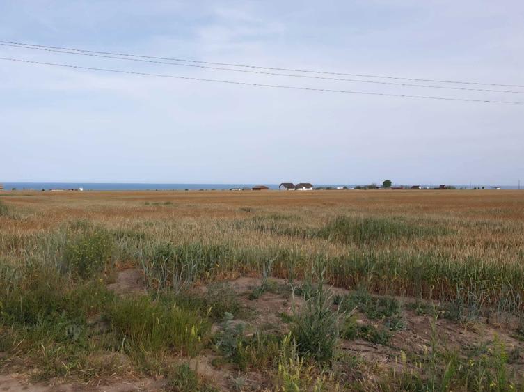 Vand/ Schimb Teren Corbu ideal investitie - 4