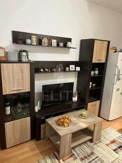 Apartament 2 camere în zona EDGAR QUINET - 8