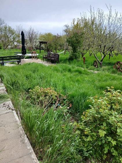 De vanzare casa agro-turistica in Istria - 2