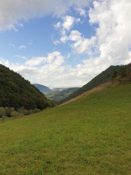 Hărțagani, teren intravilan 8500 m2, acte, superb, liniste, eco - 5