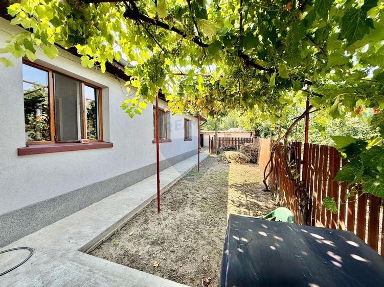 Casa / Vila cu 3 camere de inchiriat in zona Est - 1