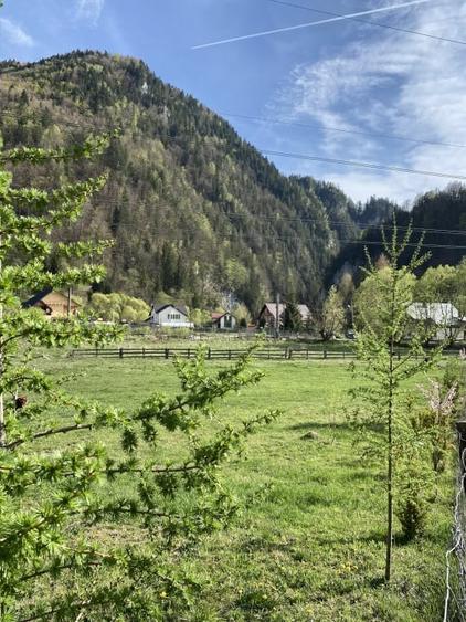 Teren panoramic insorit, utilitati, panta mica si padure, turism sau vacanta - 16