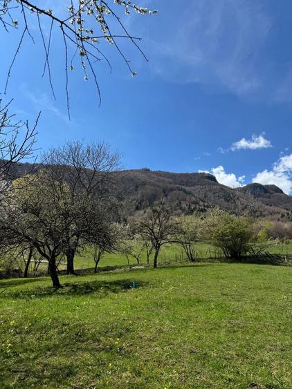 Teren in Bran Predelut la poale de munte intravilan - 7