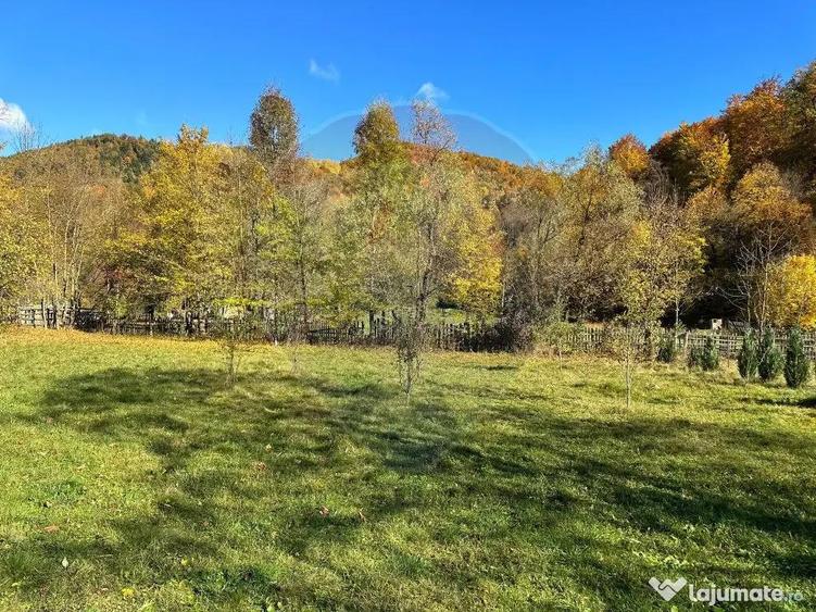 Teren de vanzare Cuiejdel 1350 mp - 6