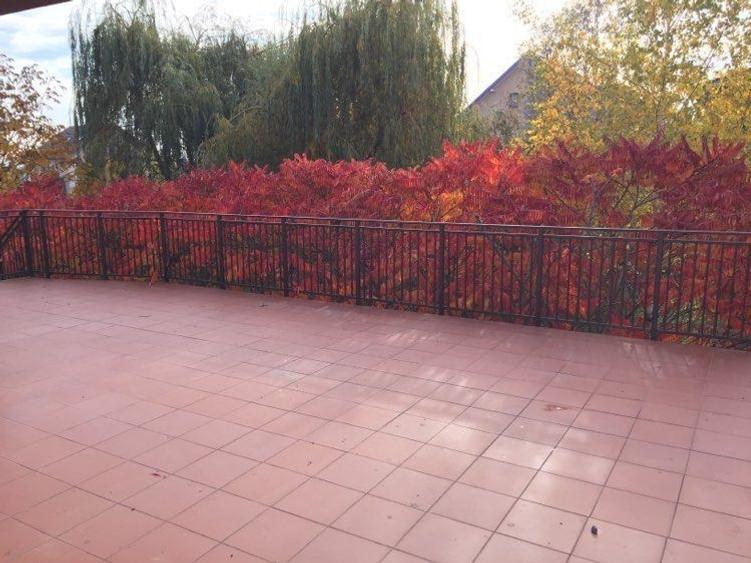 Casa de 550 mp cu teren de 2000 mp, Buna Ziua - 7