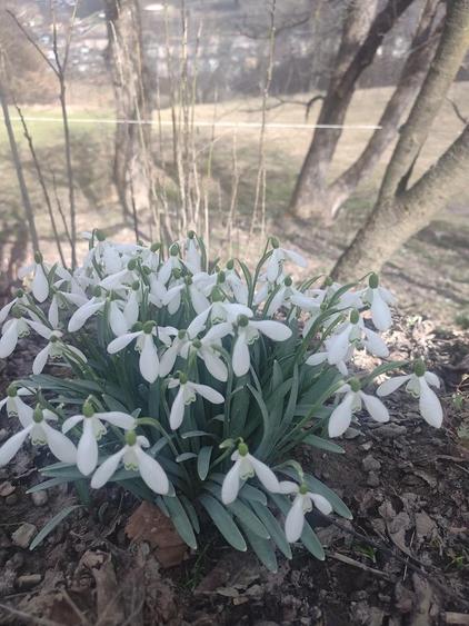 Casa de vanzare in Abrud. Tel. . - 6