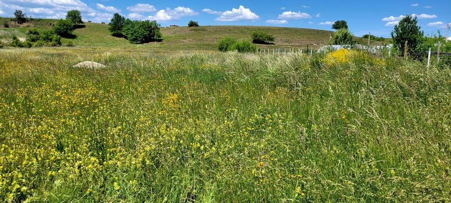 Teren Intravilan de vanzare - 2