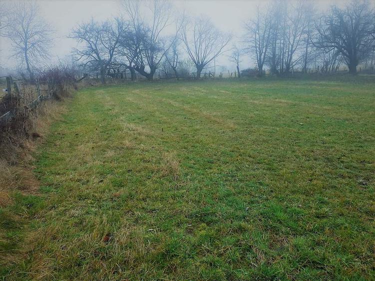 Teren de VANZARE / SCHIMB ! Bran- Sohodol Mestecanisului - 5