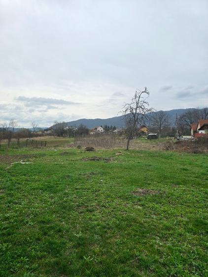Teren si casa batraneasca Calimanesti - 8