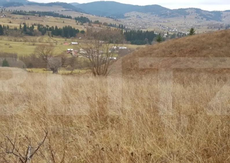 Teren ?aru Dornei 5 hectare - 3