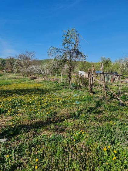 Teren si constructie comuna Magureni - 5