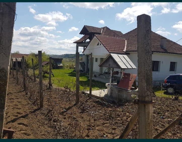 Vand doua case in aceeasi curte. Floresti, judetul Mehedinti - 2