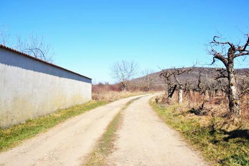 Via Solarino, 3 km de oras! Vanzare Teren Intravilan 1000 mp in Viforata. - 1