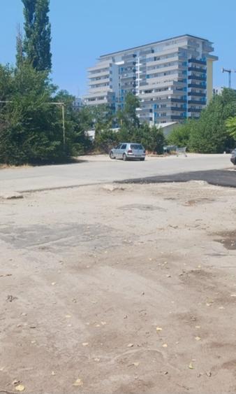 Pallady Ikea Victor Brauner - 5