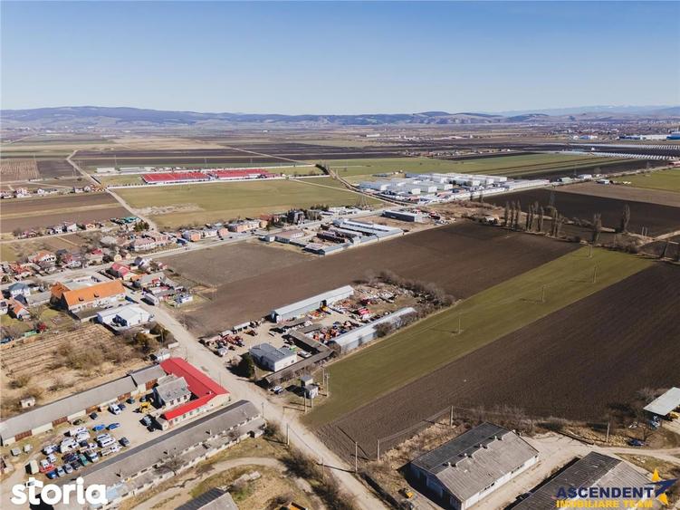 FILM! 10.000mp teren intravilan, Central, Halchiu, Brasov - 3