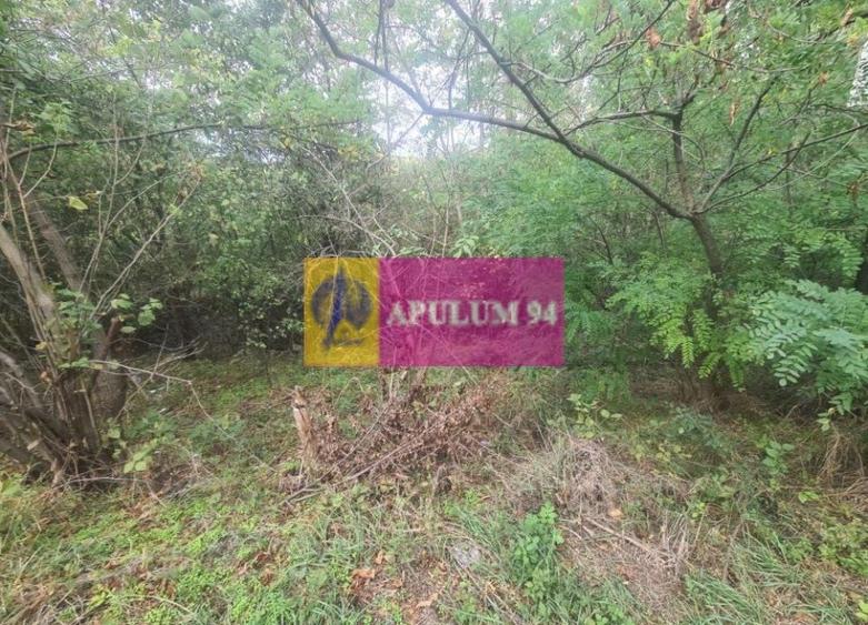 Teren de v&acirc;nzare &icirc;n C&acirc;mpina - 1