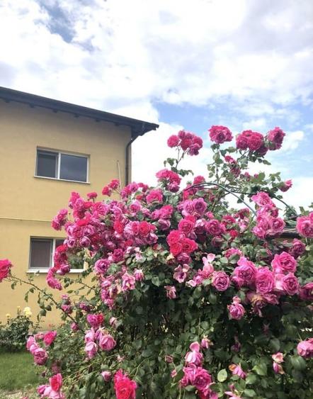 Theodor Pallady | Studio | Centrala proprie | AC | Loc parcare - 1